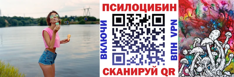 купить наркотик Туймазы Галлюциногенные грибы Psilocybe